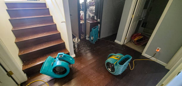 Best 24-hour water damage restoration  in Neillsville, WI