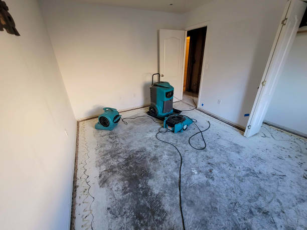 Best Water damage restoration near me  in Neillsville, WI
