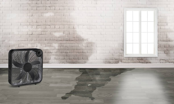 Neillsville, WI Water damage restoration Company