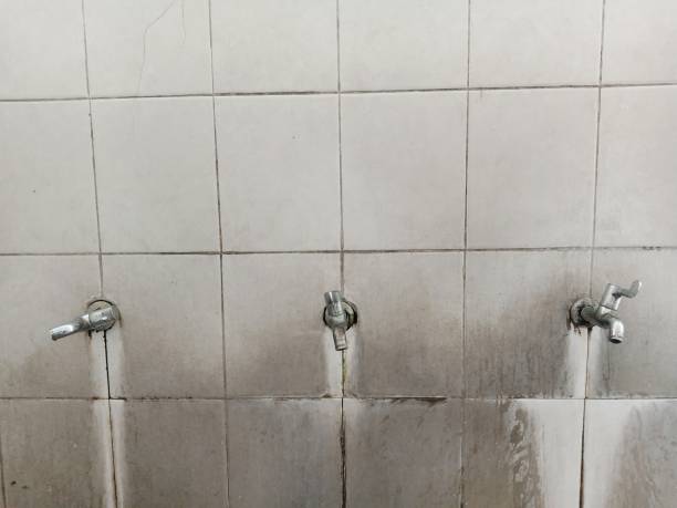 Best Professional water damage repair  in Neillsville, WI