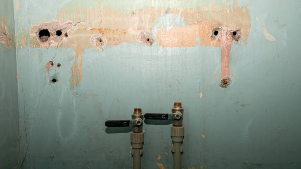 Best Basement water damage restoration  in Neillsville, WI