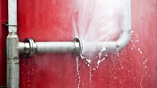 Best Flood restoration services  in Neillsville, WI